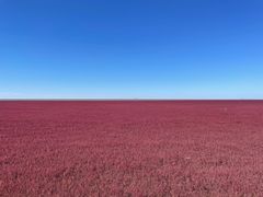 -红海滩国家风景廊道