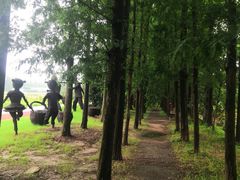 -上海长兴岛郊野公园