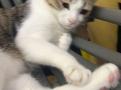 -谜盒子奇幻密室(南屏店)