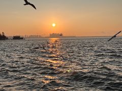 -滇池海埂公园