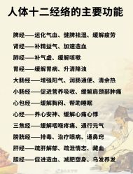 -安吉拉青春化管理中心