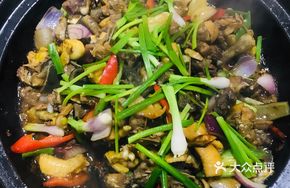 Softshell Turtle and Free-range Chicken Stew