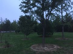 -北京园博大酒店