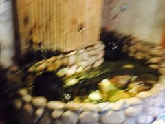 -馬蘭花開(车站大道店)