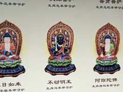 -峨眉山报国寺