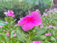 -西安创业咖啡街区