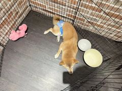-呼吸沉浸式剧场(甘露园店)