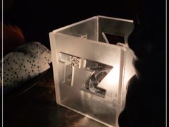 -TZ House音乐现场(茅台店)
