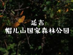 -帽儿山国家森林公园