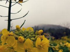 android_upload_pic-广州市石门国家森林公园