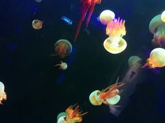 -广州融创文旅城