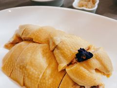 特色白斩鸡-望乡楼上海菜(日月光店)