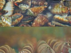 -三亚火车头万人海鲜广场