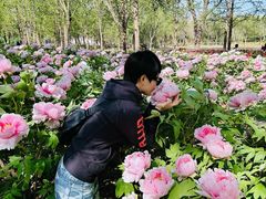 -石家庄市植物园