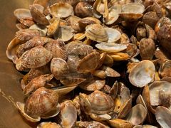 -浩运海鲜·16年专注青岛菜(石老人店)