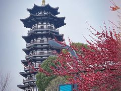 -洋湖国家湿地公园