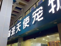 -瑞派天使宠物医院·神经外科·骨科·核磁(洛川中路店)