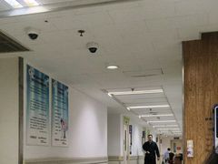 -上海市第十人民医院(总院)