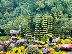-杭州植物园