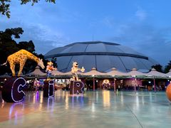 -广州长隆国际大马戏