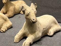 -广西壮族自治区博物馆