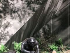 -北京周口店北京人遗址博物馆