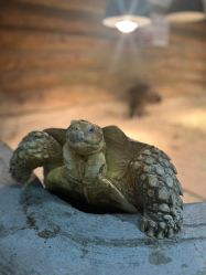 点击看大图 -Zoolung Zoolung动物主题公园(海信广场店)