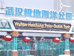 -海合安武汉极地海洋公园