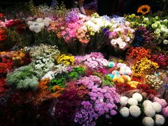 -三旗百汇商品城