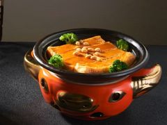 -鸽小宝(深圳首店)