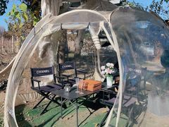 -安德鲁户外烧烤帐篷营地(马泉营店)