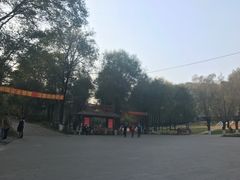 -高尔山公园