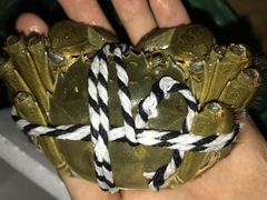 -喜洋洋蟹庄(阳澄湖店)