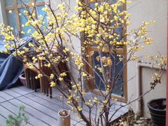 iphone_upload_pic-嘉善老市