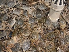 -藜爱·山海情海鲜自助(万达广场店)