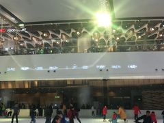 -TheRink大零溜冰场(IFS国金中心店)
