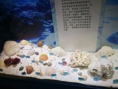 -温州博物馆