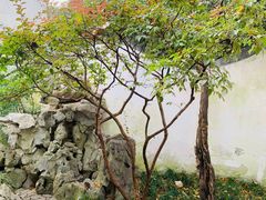 -秋霞圃