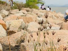 -深圳湾公园(南山区)