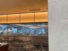 -喜来登由由大酒店九州膳坊中餐厅