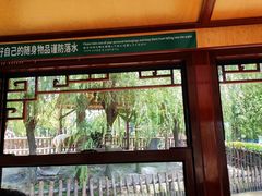 -老城南.鸭血粉丝汤(夫子庙店)