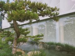 -BLACKSWAN黑天鹅(环球店)