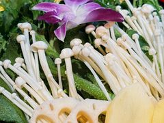 -束河人家(南锣鼓巷店)