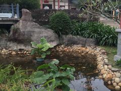 -江门古兜温泉小镇