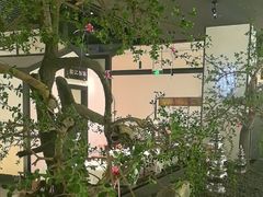 -桂满陇-锦绣江南(万象城店)