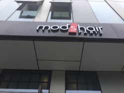 -mod's hair