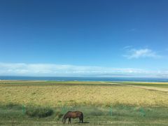 -青海湖国家重点风景名胜区