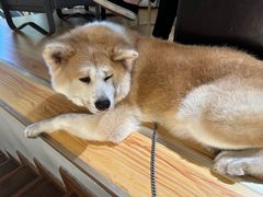 -YCHL Studios健身工作室(市二宫店)