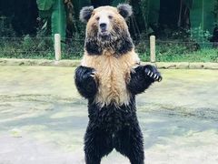 -贵州森林野生动物园