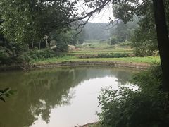 -韶山毛泽东同志故居